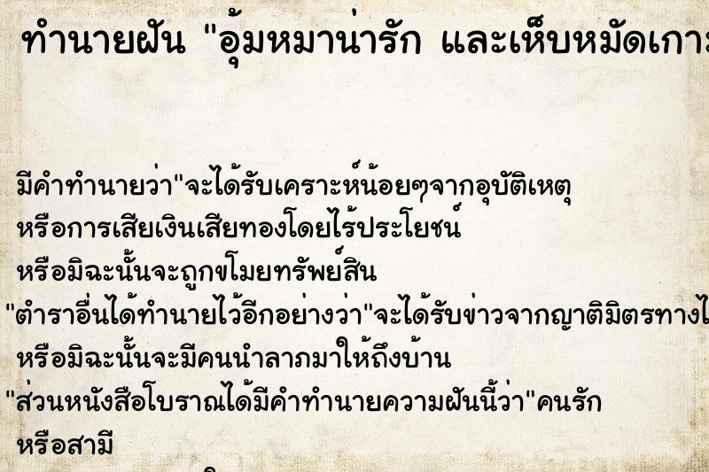 ทำนายฝัน อุ้มหมาน่ารัก และเห็บหมัดเกาะเต็มเลย